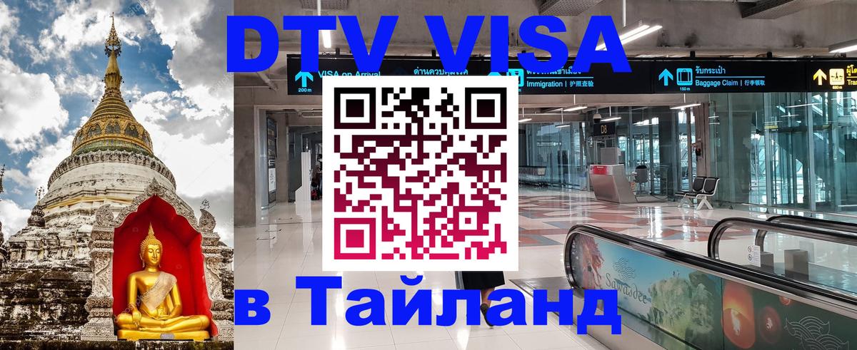 Оформление DTV визы под ключ: стоимость и тарифы, только загранпаспорт - Пушкино  04.10.2025 